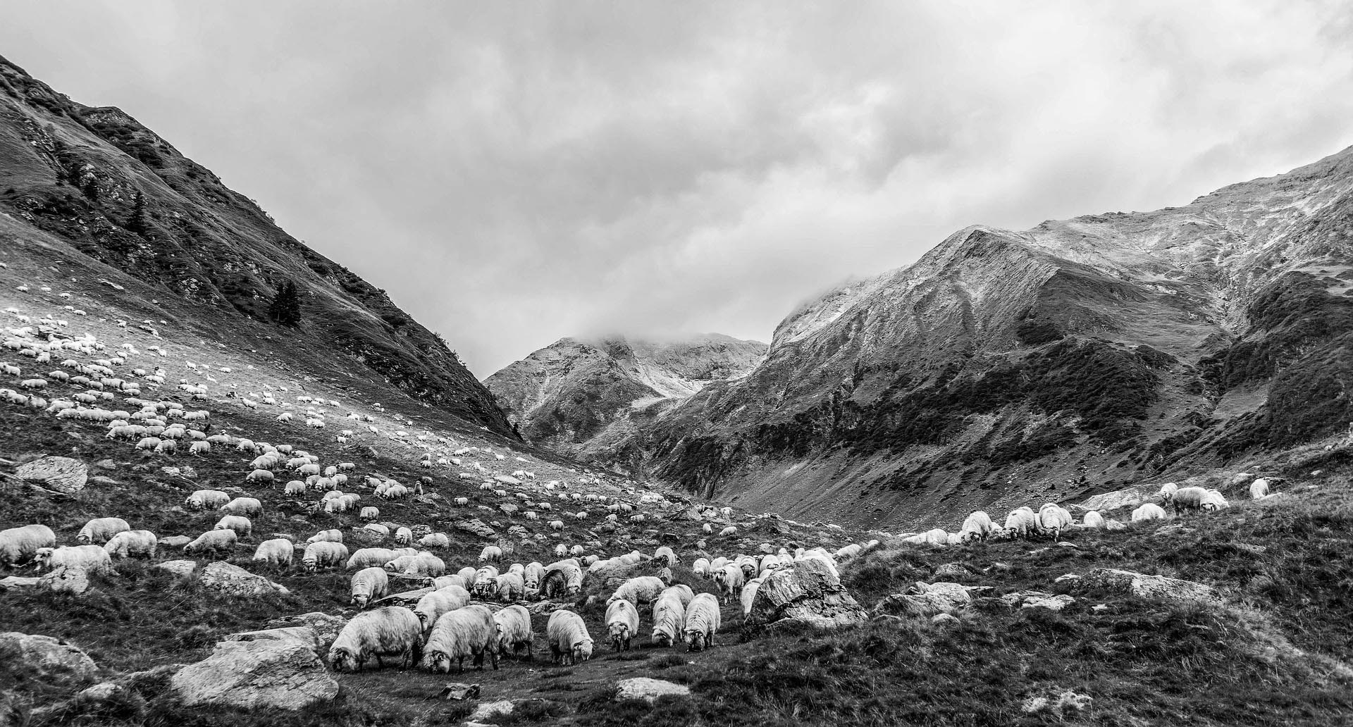 Eindelijk weer slapen